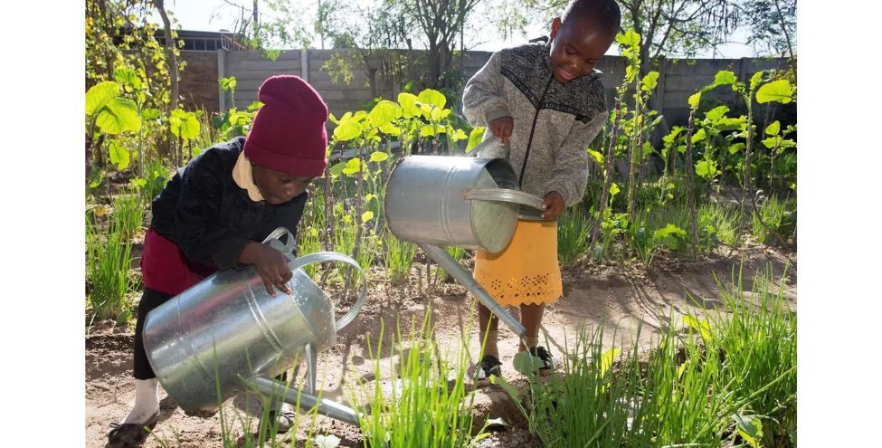 J1221N-J1221NR-Untitled design.jpg-3678c077